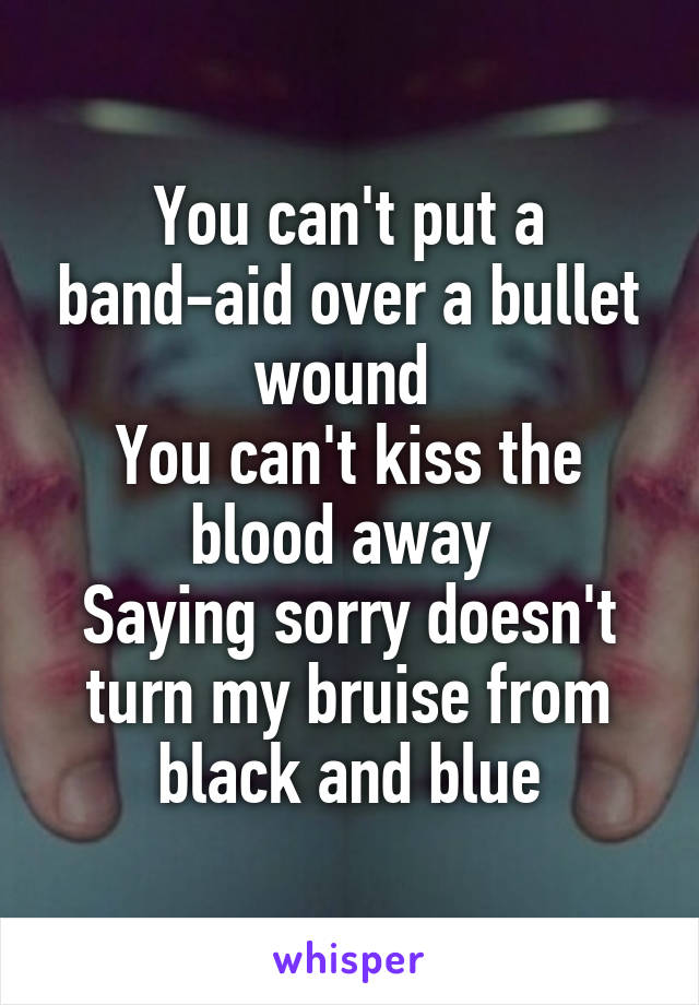 You can't put a band-aid over a bullet wound 
You can't kiss the blood away 
Saying sorry doesn't turn my bruise from black and blue