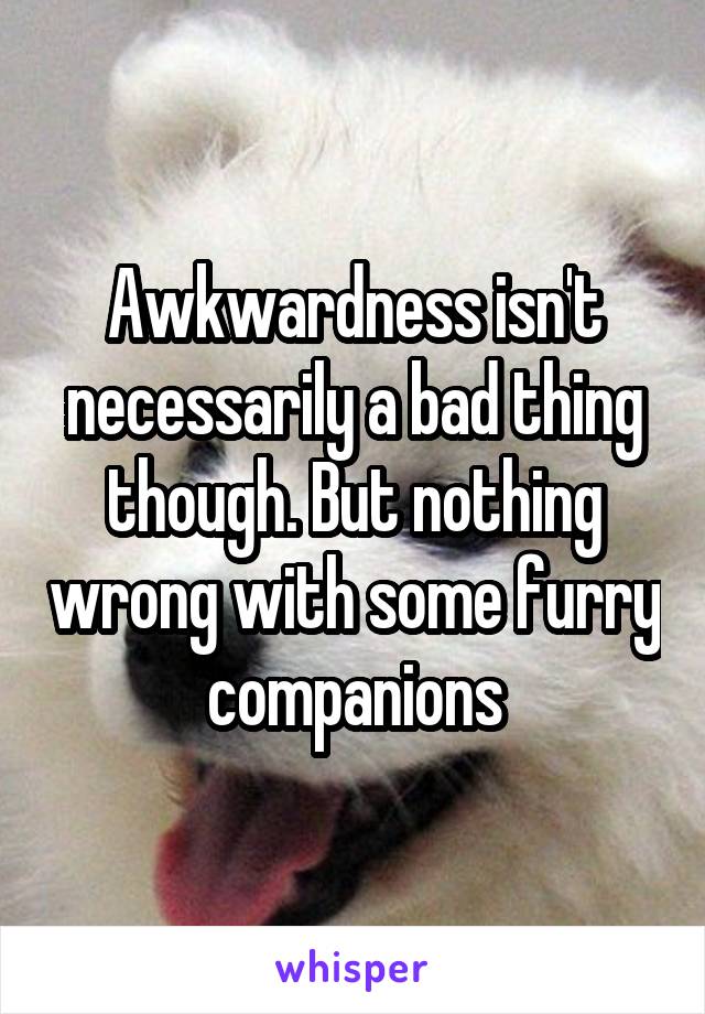 Awkwardness isn't necessarily a bad thing though. But nothing wrong with some furry companions