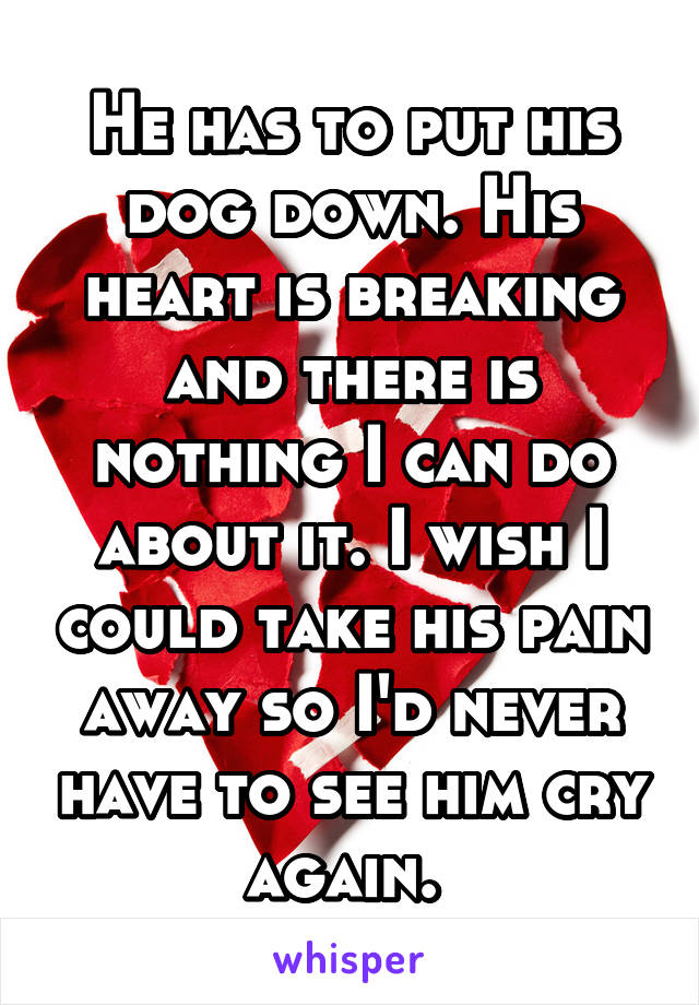 He has to put his dog down. His heart is breaking and there is nothing I can do about it. I wish I could take his pain away so I'd never have to see him cry again. 