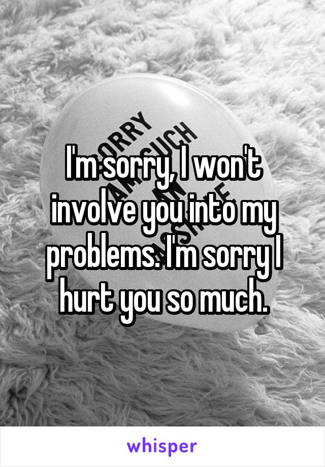 I'm sorry, I won't involve you into my problems. I'm sorry I hurt you so much.
