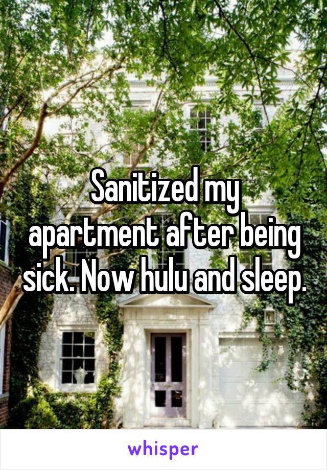Sanitized my apartment after being sick. Now hulu and sleep.