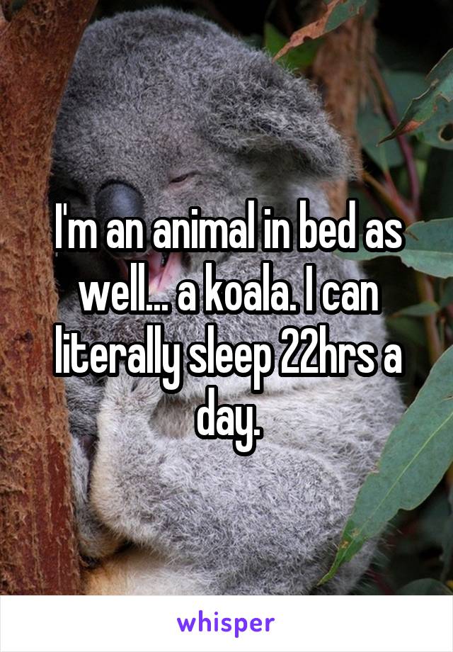 I'm an animal in bed as well... a koala. I can literally sleep 22hrs a day.
