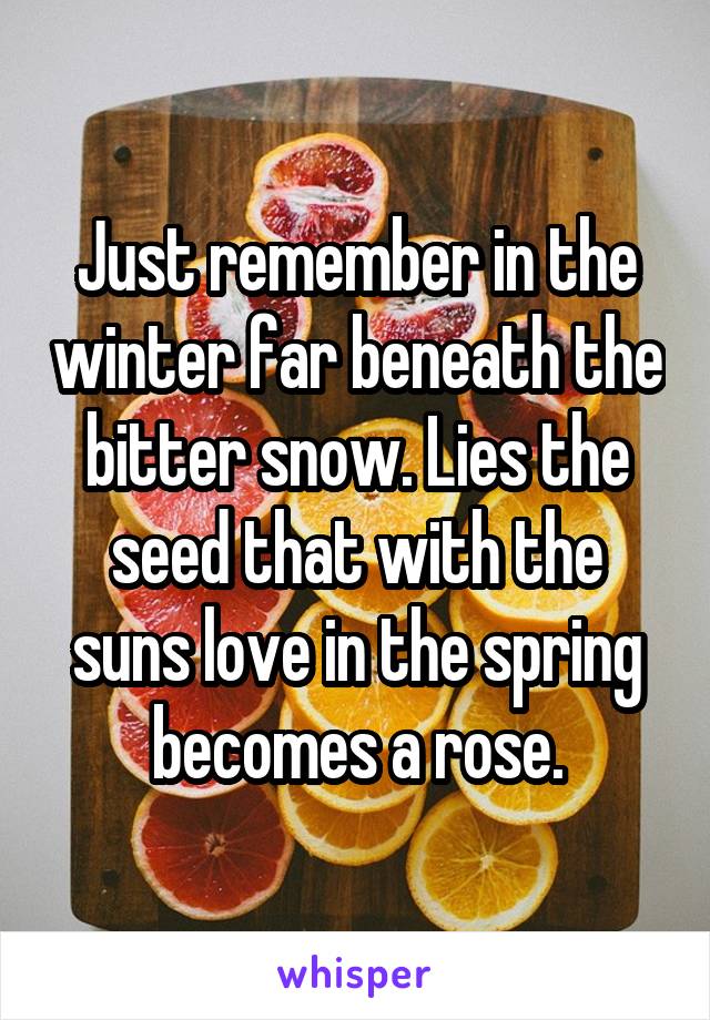 Just remember in the winter far beneath the bitter snow. Lies the seed that with the suns love in the spring becomes a rose.