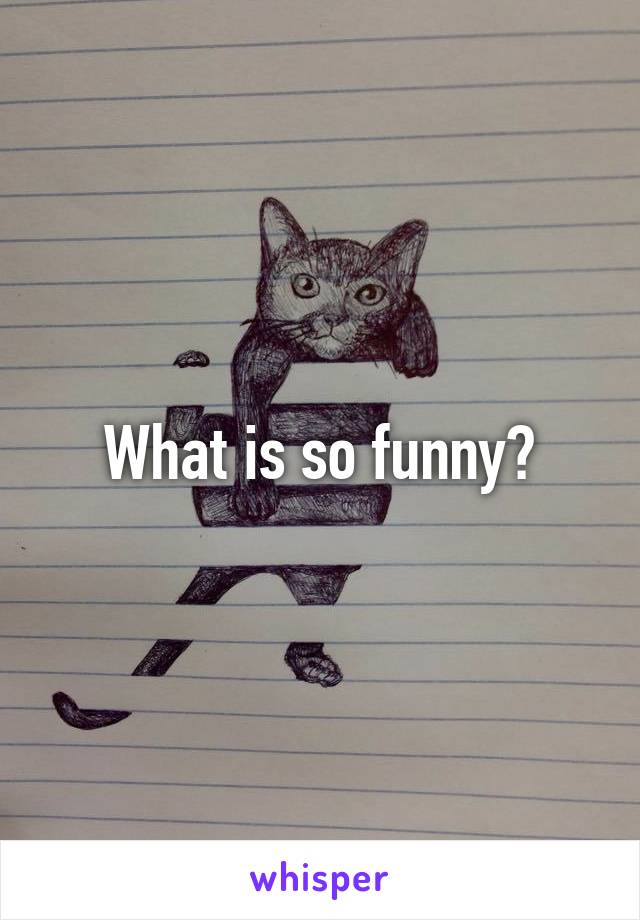 What is so funny?