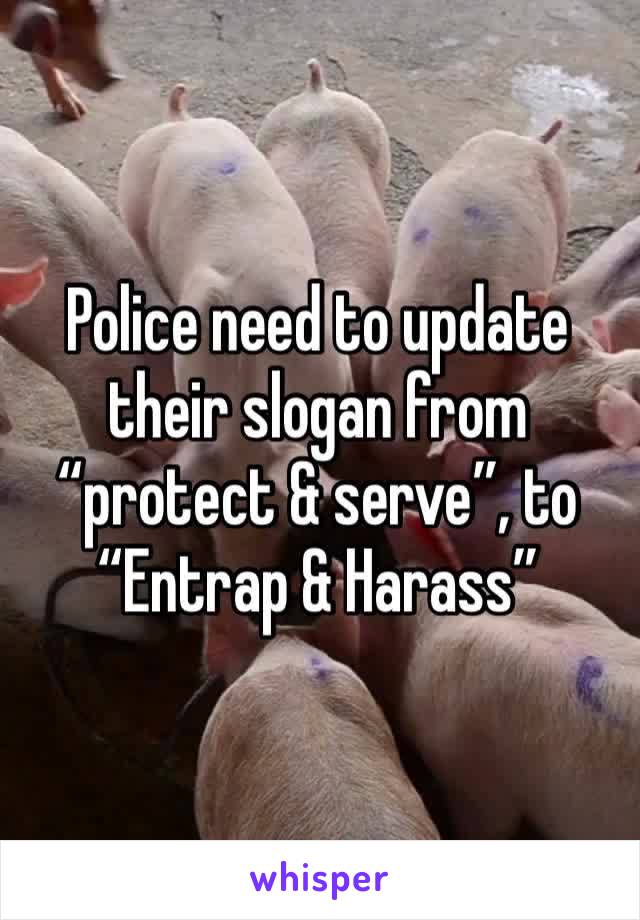 Police need to update their slogan from “protect & serve”, to “Entrap & Harass”