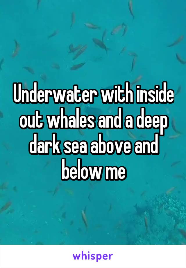 Underwater with inside out whales and a deep dark sea above and below me
