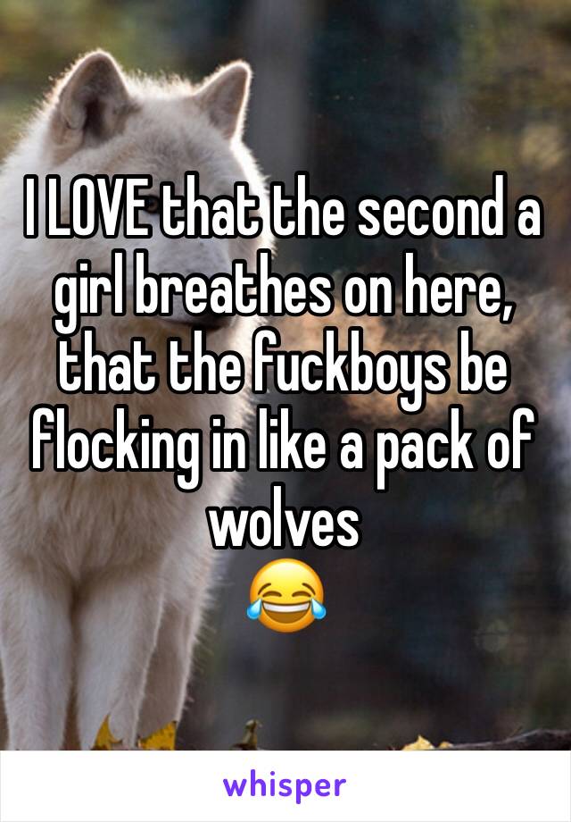 I LOVE that the second a girl breathes on here, that the fuckboys be flocking in like a pack of wolves 
😂