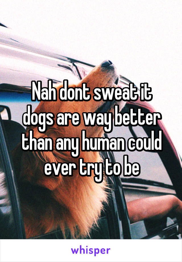 Nah dont sweat it
dogs are way better than any human could
ever try to be