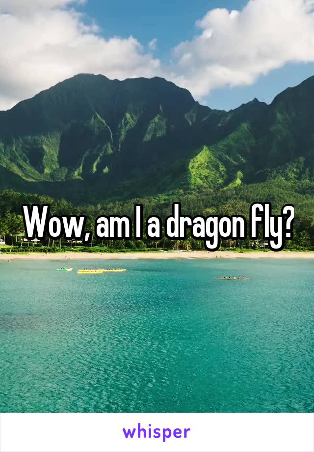 Wow, am I a dragon fly?