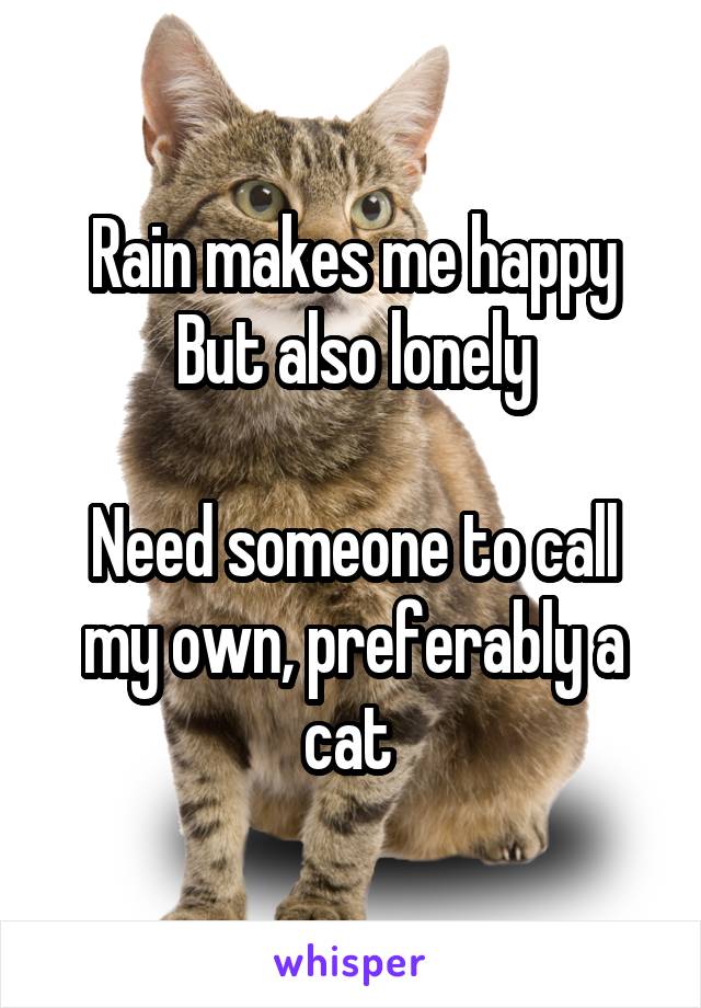 Rain makes me happy
But also lonely

Need someone to call my own, preferably a cat 