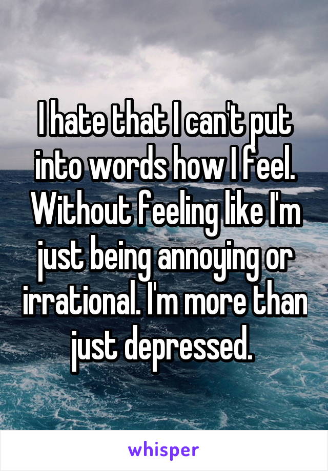 I hate that I can't put into words how I feel. Without feeling like I'm just being annoying or irrational. I'm more than just depressed. 