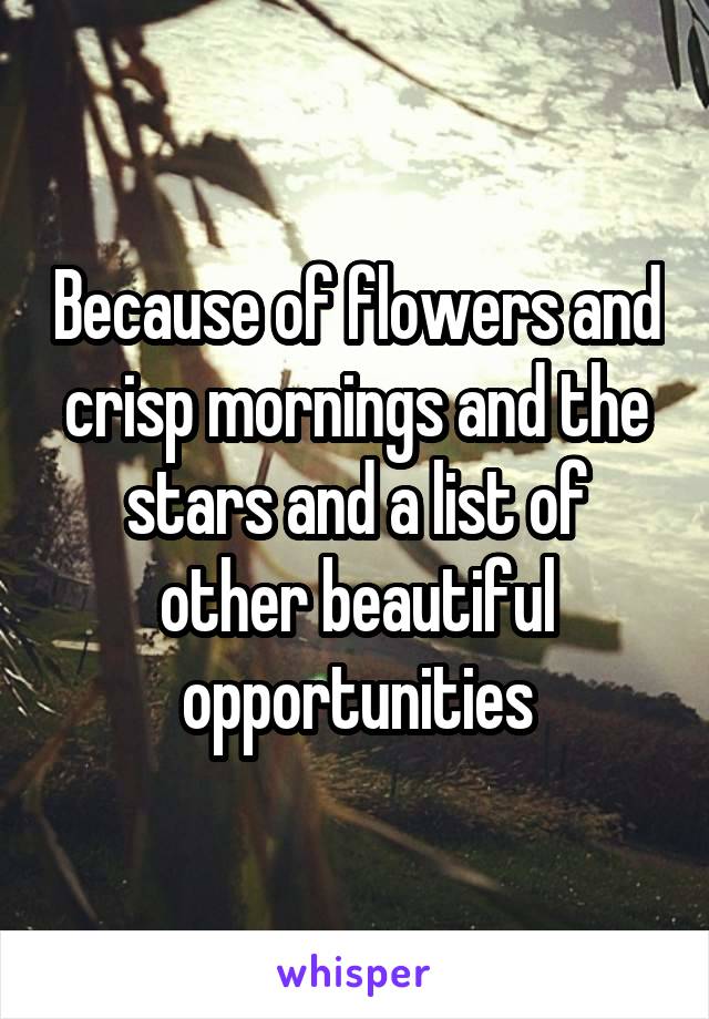 Because of flowers and crisp mornings and the stars and a list of other beautiful opportunities
