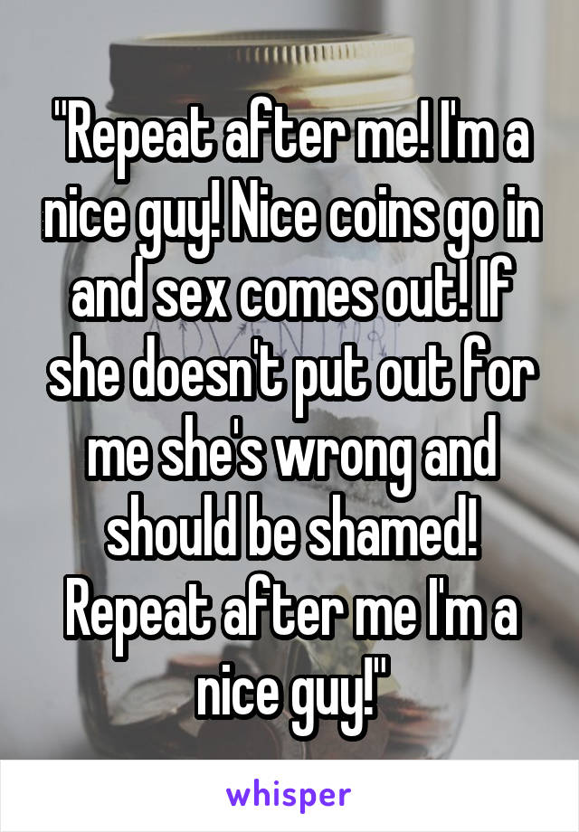 "Repeat after me! I'm a nice guy! Nice coins go in and sex comes out! If she doesn't put out for me she's wrong and should be shamed! Repeat after me I'm a nice guy!"
