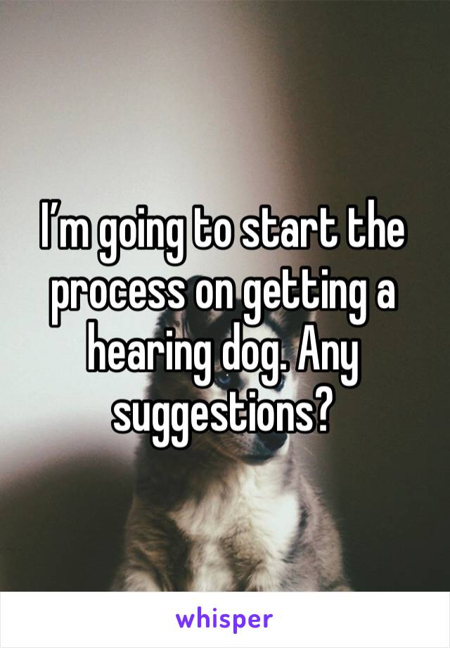 I’m going to start the process on getting a hearing dog. Any suggestions?