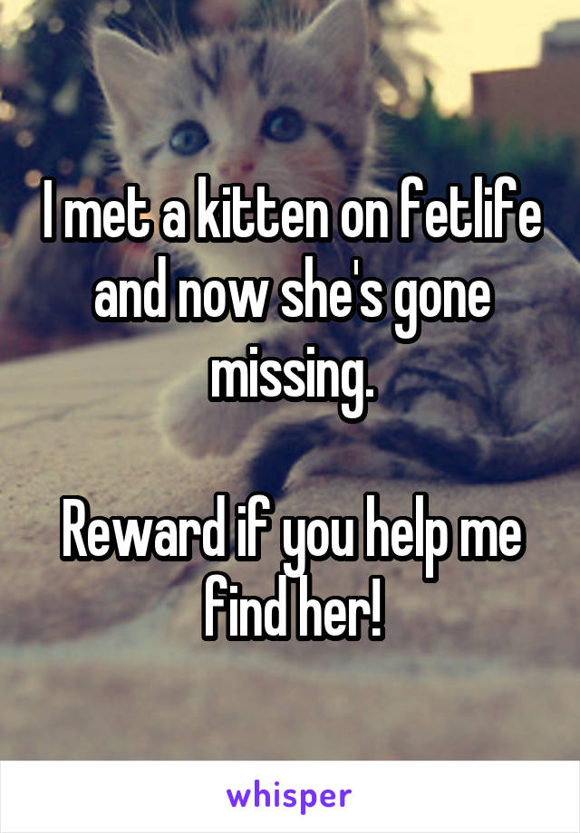 I met a kitten on fetlife and now she's gone missing.

Reward if you help me find her!