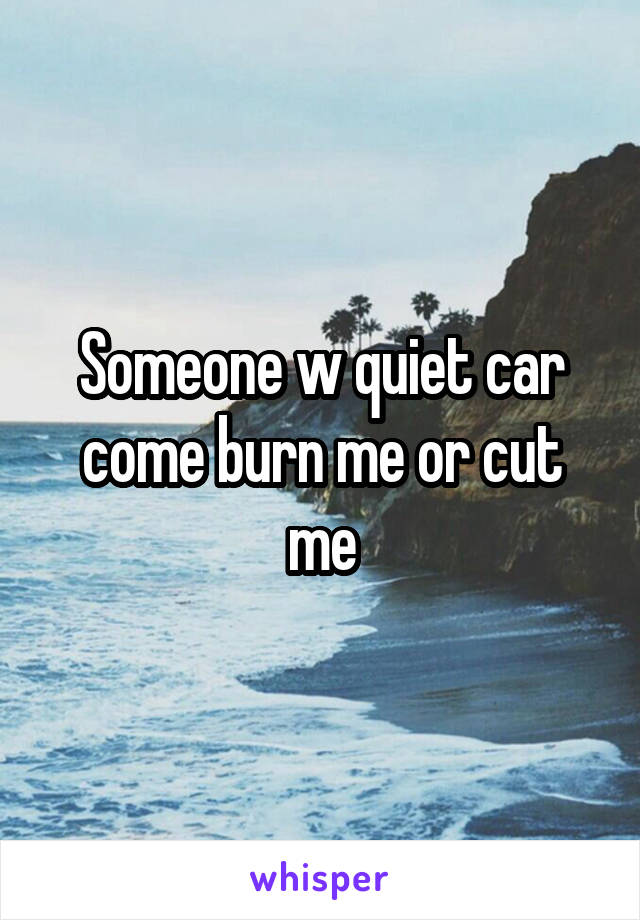 Someone w quiet car come burn me or cut me