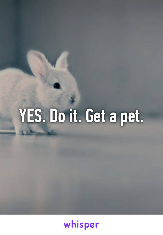 YES. Do it. Get a pet.