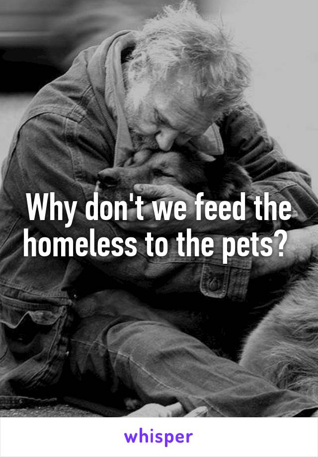 Why don't we feed the homeless to the pets? 