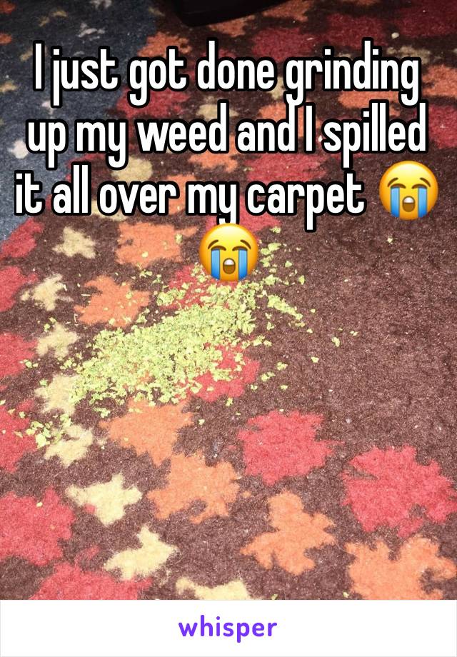 I just got done grinding up my weed and I spilled it all over my carpet 😭😭