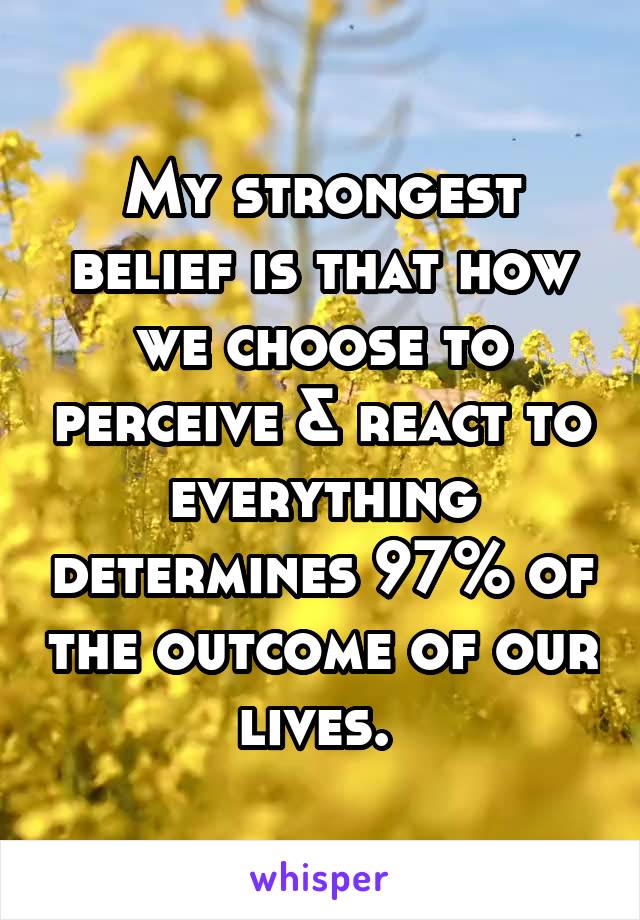 My strongest belief is that how we choose to perceive & react to everything determines 97% of the outcome of our lives. 