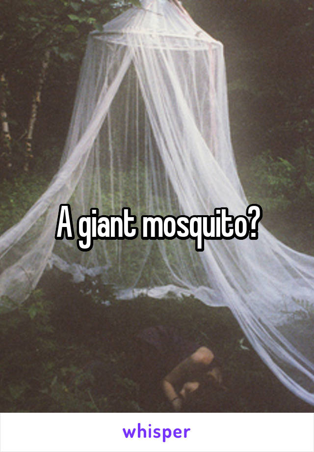 A giant mosquito?