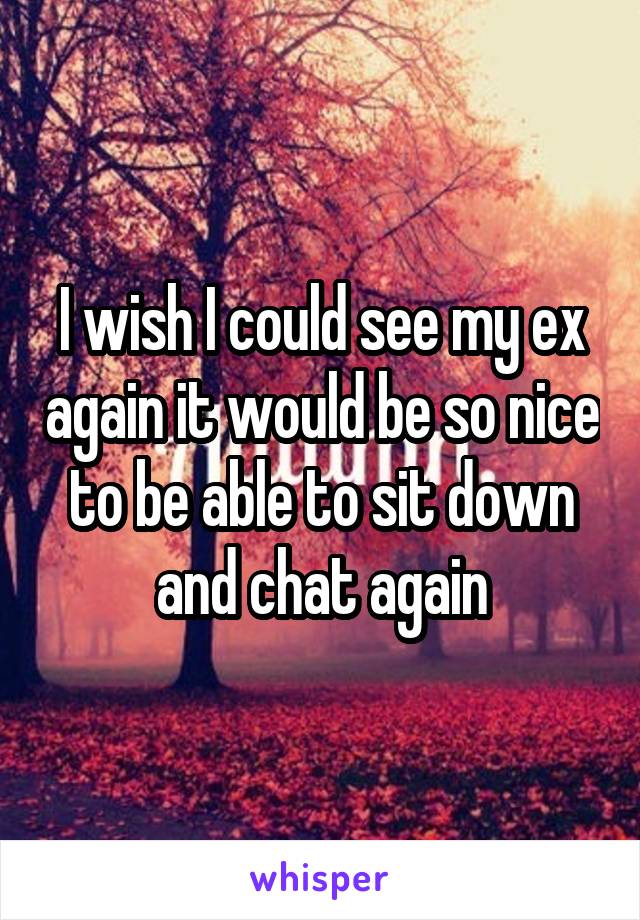 I wish I could see my ex again it would be so nice to be able to sit down and chat again