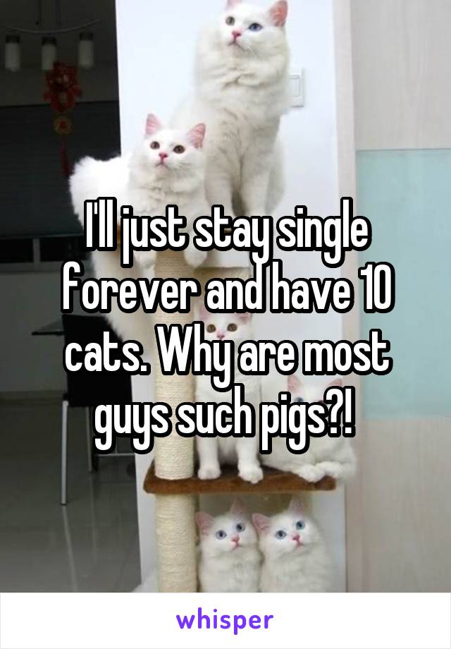 I'll just stay single forever and have 10 cats. Why are most guys such pigs?! 