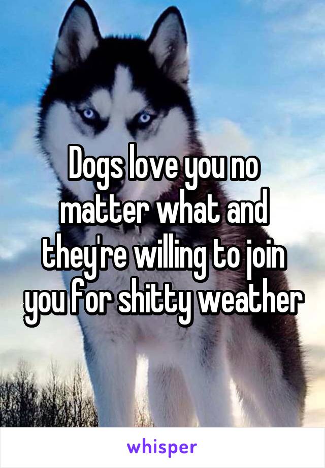 Dogs love you no matter what and they're willing to join you for shitty weather