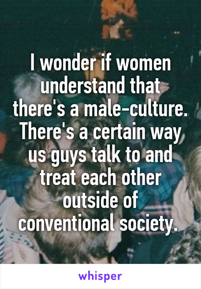 I wonder if women understand that there's a male-culture.
There's a certain way us guys talk to and treat each other outside of conventional society. 