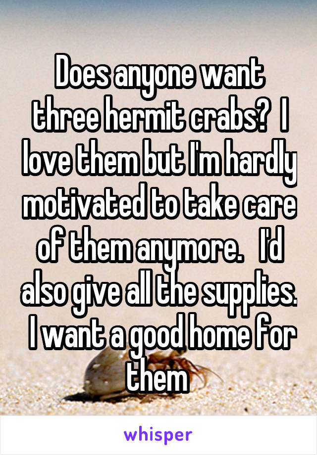 Does anyone want three hermit crabs?  I love them but I'm hardly motivated to take care of them anymore.   I'd also give all the supplies.  I want a good home for them 