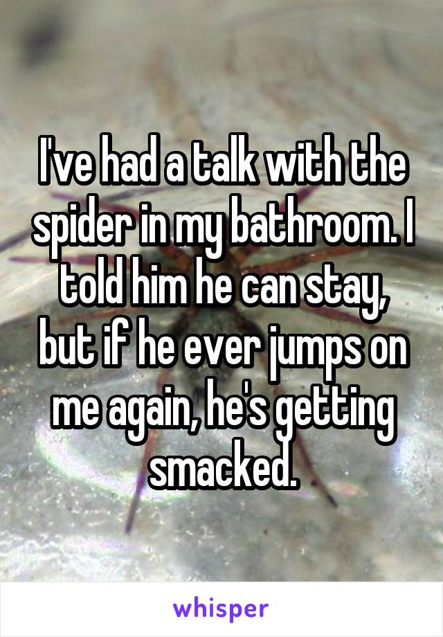 I've had a talk with the spider in my bathroom. I told him he can stay, but if he ever jumps on me again, he's getting smacked.