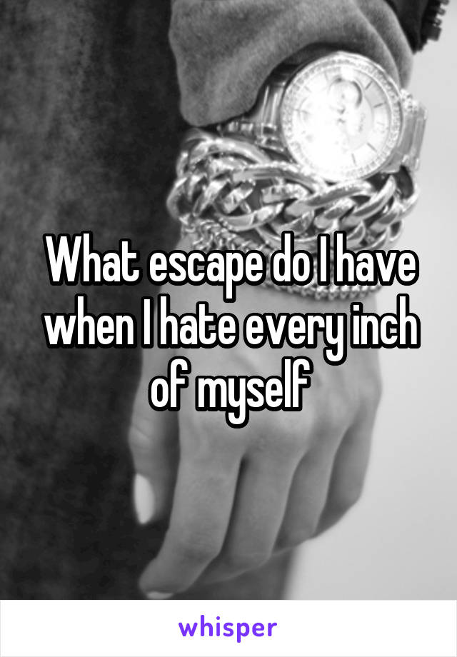 What escape do I have when I hate every inch of myself