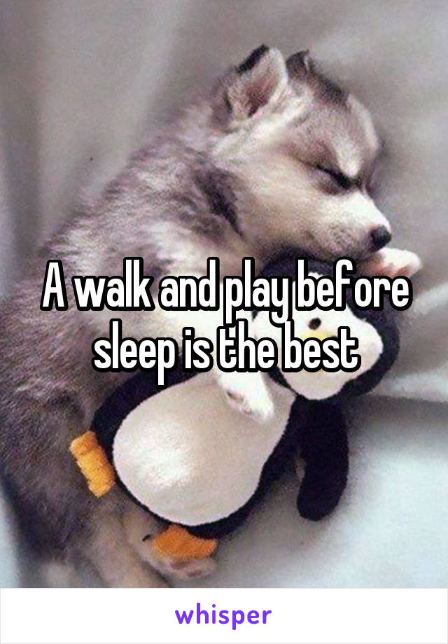 A walk and play before sleep is the best