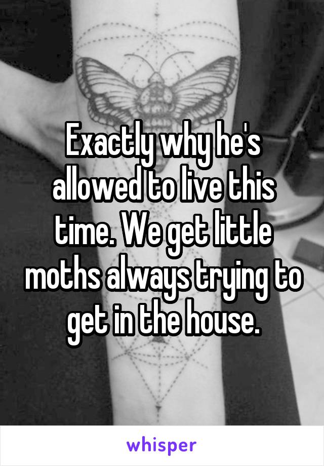 Exactly why he's allowed to live this time. We get little moths always trying to get in the house.