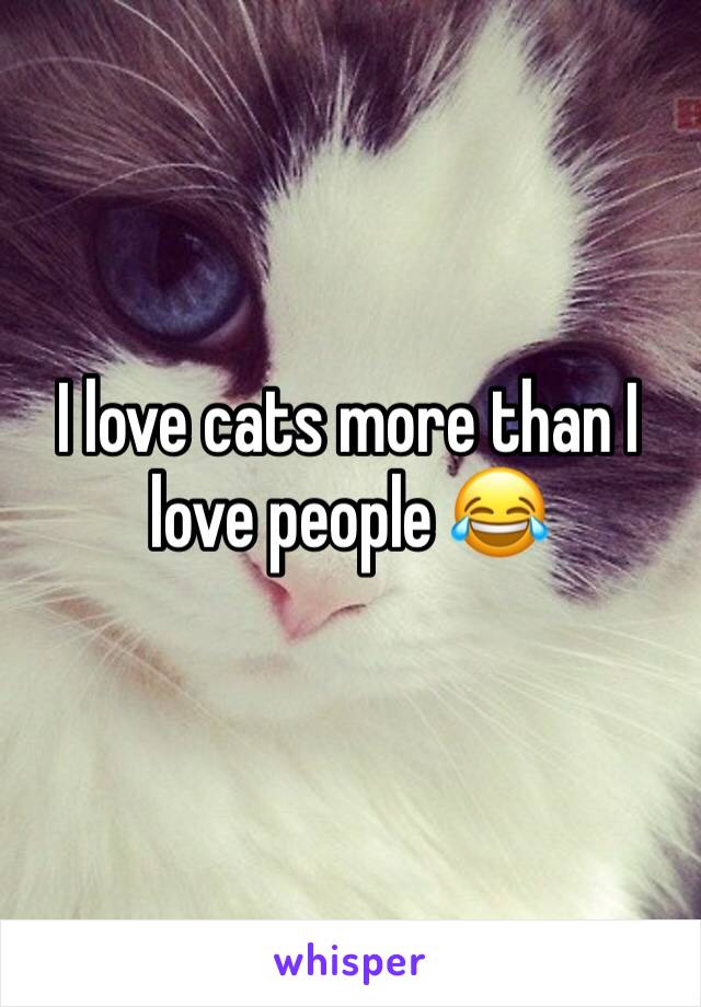 I love cats more than I love people 😂