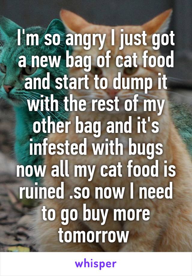 I'm so angry I just got a new bag of cat food and start to dump it with the rest of my other bag and it's infested with bugs now all my cat food is ruined .so now I need to go buy more tomorrow 