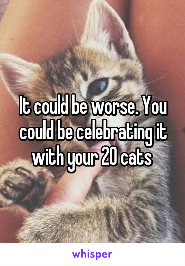 It could be worse. You could be celebrating it with your 20 cats 