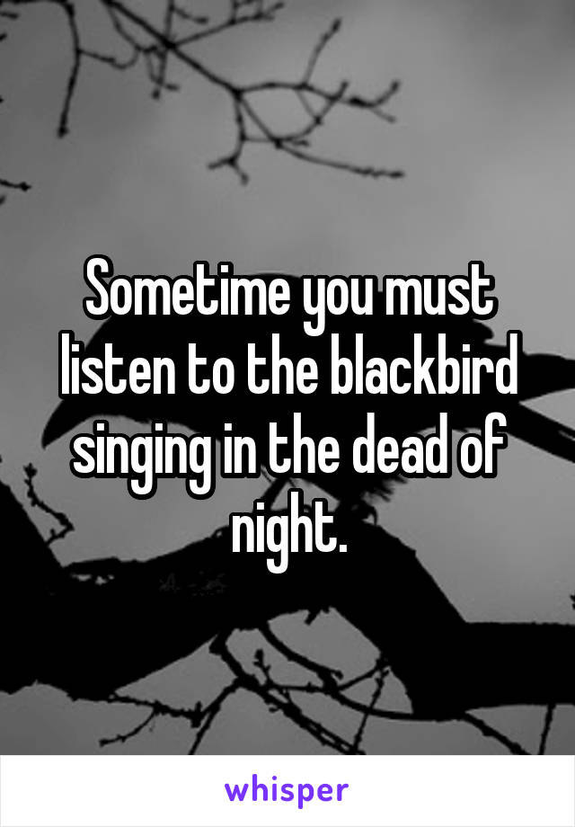 Sometime you must listen to the blackbird singing in the dead of night.