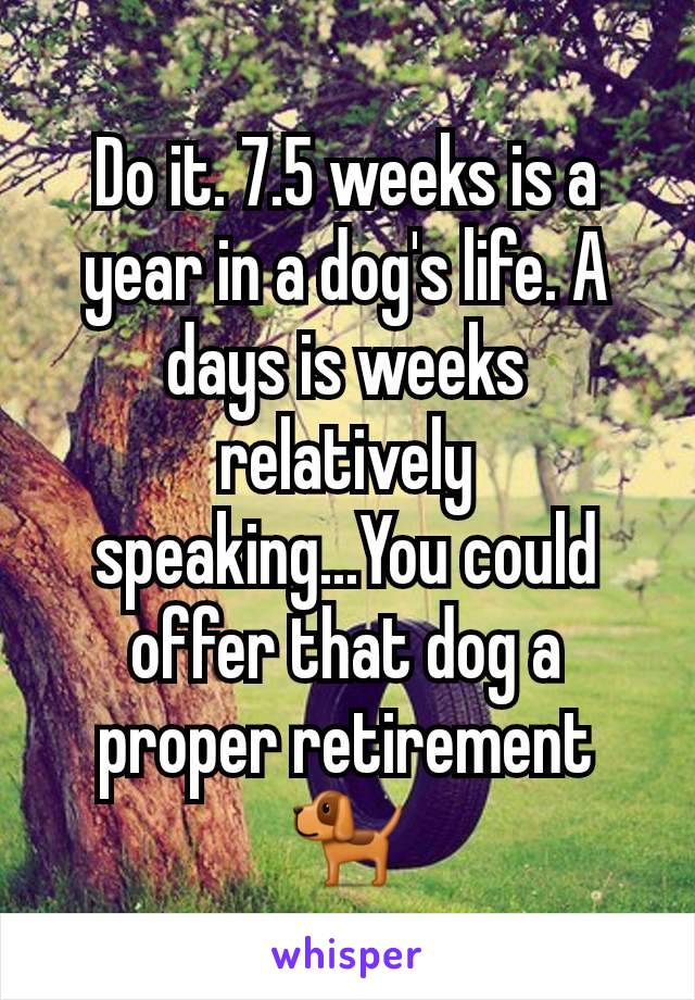 Do it. 7.5 weeks is a year in a dog's life. A days is weeks relatively speaking...You could offer that dog a proper retirement🐕