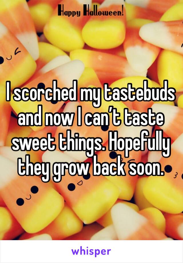 I scorched my tastebuds and now I can’t taste sweet things. Hopefully they grow back soon.