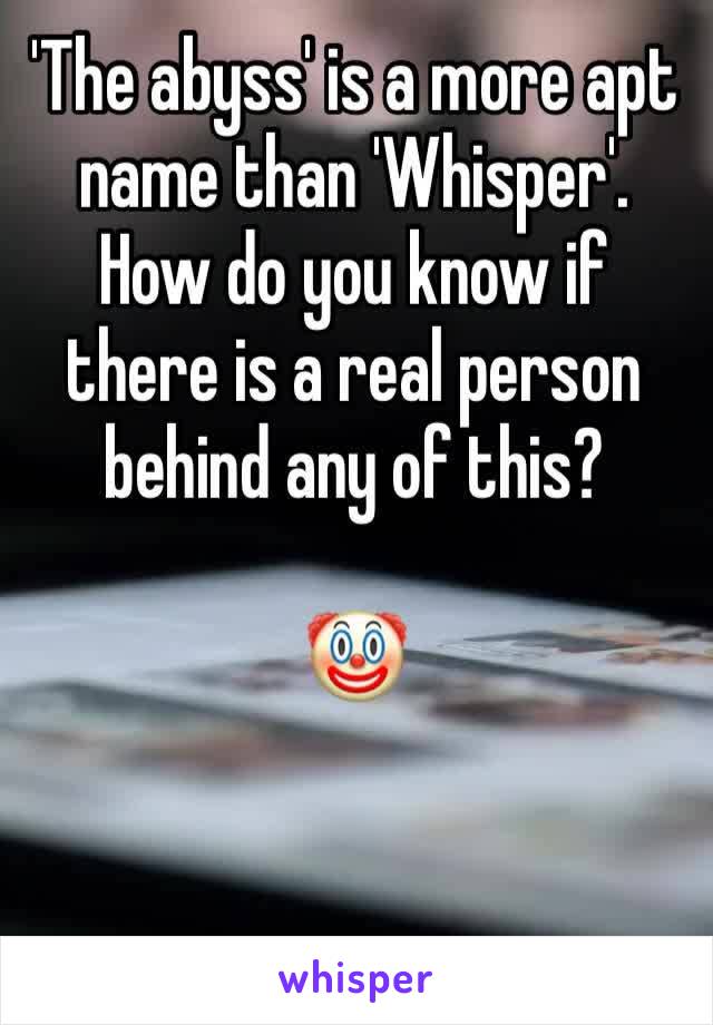 'The abyss' is a more apt name than 'Whisper'. How do you know if there is a real person behind any of this?

🤡