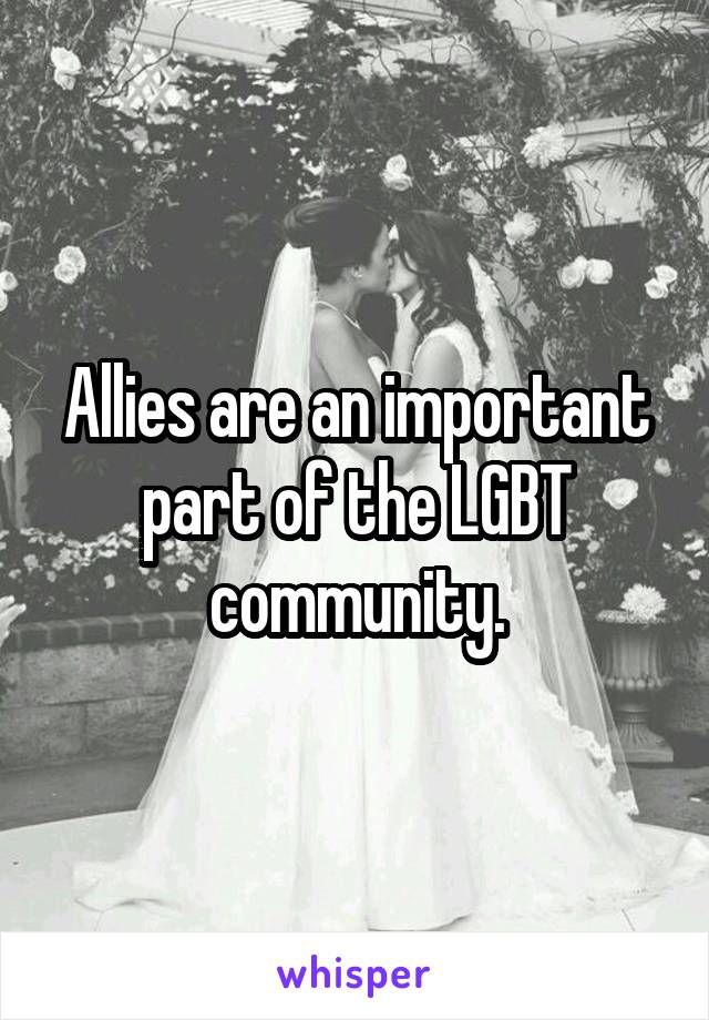 Allies are an important part of the LGBT community.