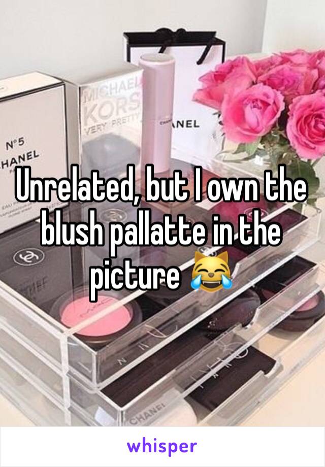 Unrelated, but I own the blush pallatte in the picture 😹