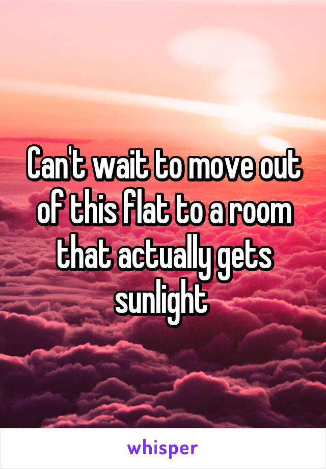 Can't wait to move out of this flat to a room that actually gets sunlight 