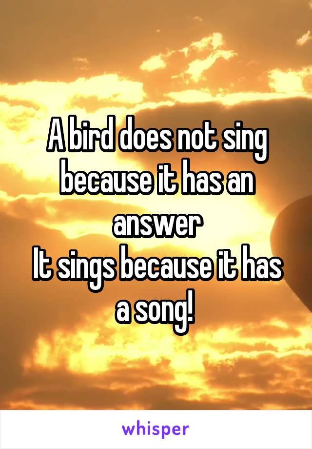 A bird does not sing because it has an answer
It sings because it has a song! 