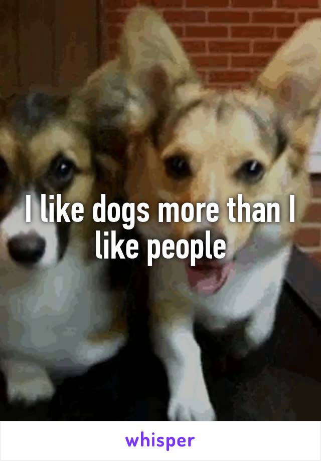 I like dogs more than I like people