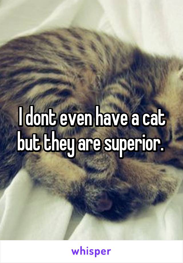 I dont even have a cat but they are superior. 