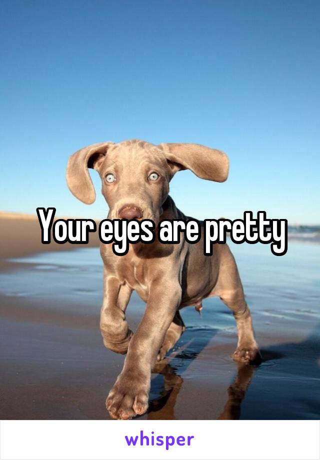 Your eyes are pretty