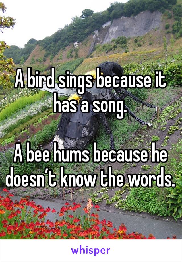 A bird sings because it has a song.

A bee hums because he doesn’t know the words.