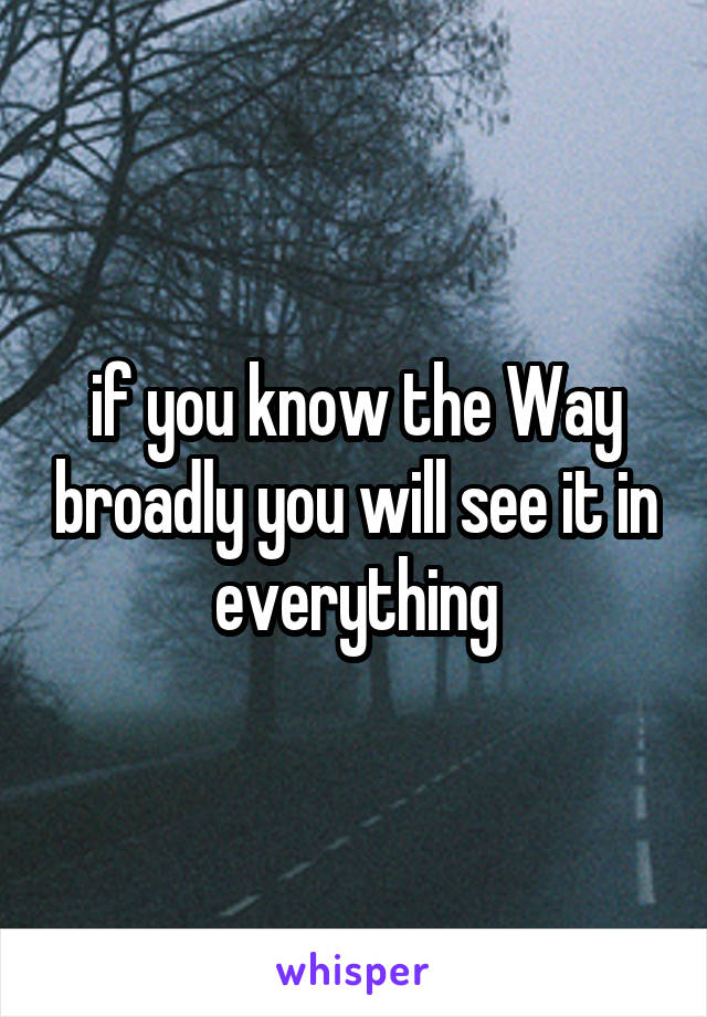 if you know the Way broadly you will see it in everything
